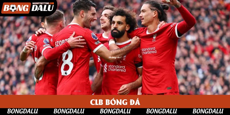 CLB Bóng Đá Mạnh Nhất: Top 5 Đội Bóng Được Đánh Giá Cao Nhất