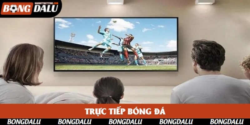Trực Tiếp Bóng Đá Bongdalu | Hòa Mình Cùng Các Trận Cầu Sôi Động 2025